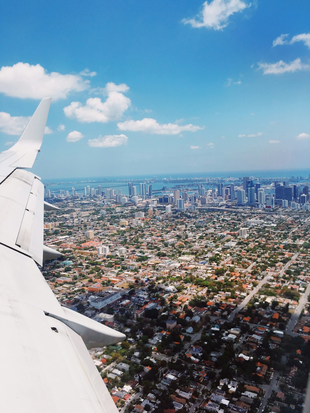 airplane above the city