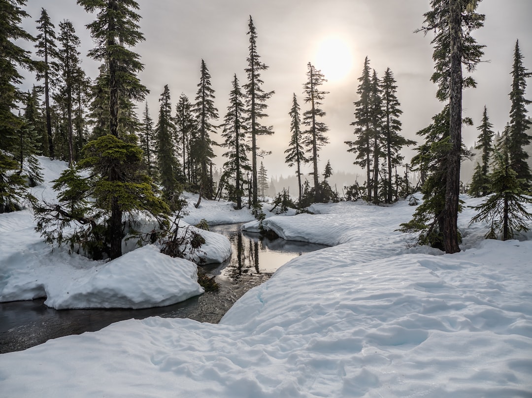 travelers stories about Mountain in Forbidden Plateau - Helen Mackenzie Lake Loop, Canada