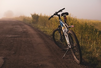 blue and white mountain bike parked on side of dirt road