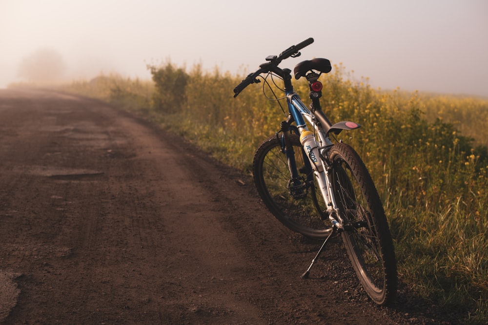 Vélo de montagne bleu et blanc garé sur le côté du chemin de terre