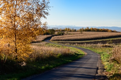 empty road during daytime