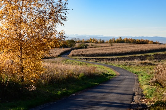 empty road during daytime in Michałowice Poland