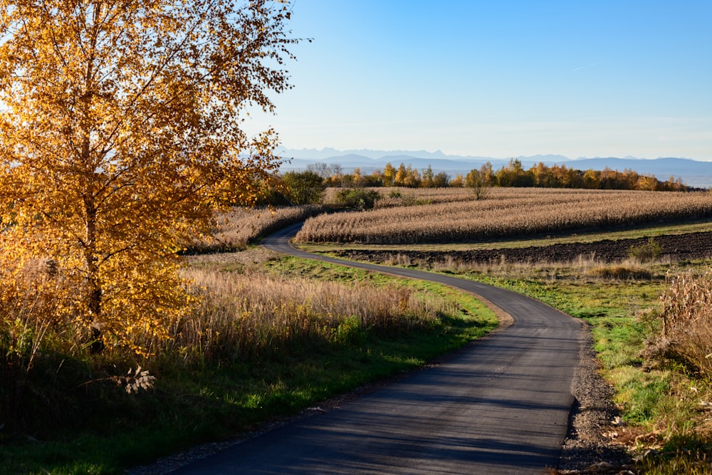 empty road during daytime