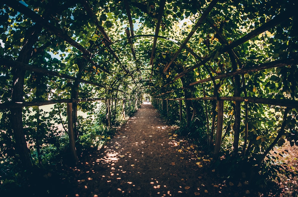 garden tunnel