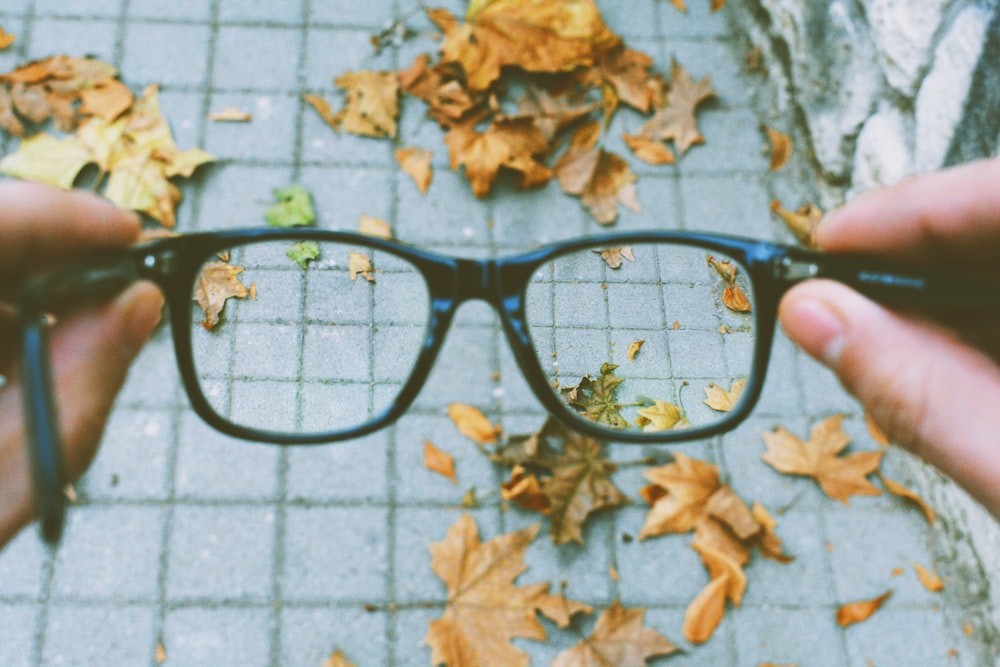 person holding black-framed eyeglasses