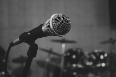 black and grey microphone on stand