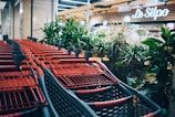 gray and red metal shopping cart in store