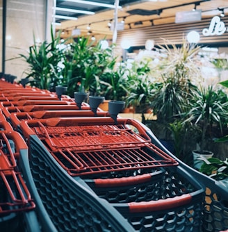 gray and red metal shopping cart in store