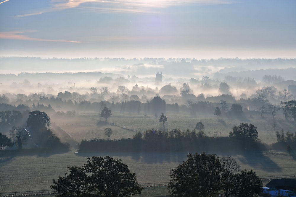 foggy morning in the countryside