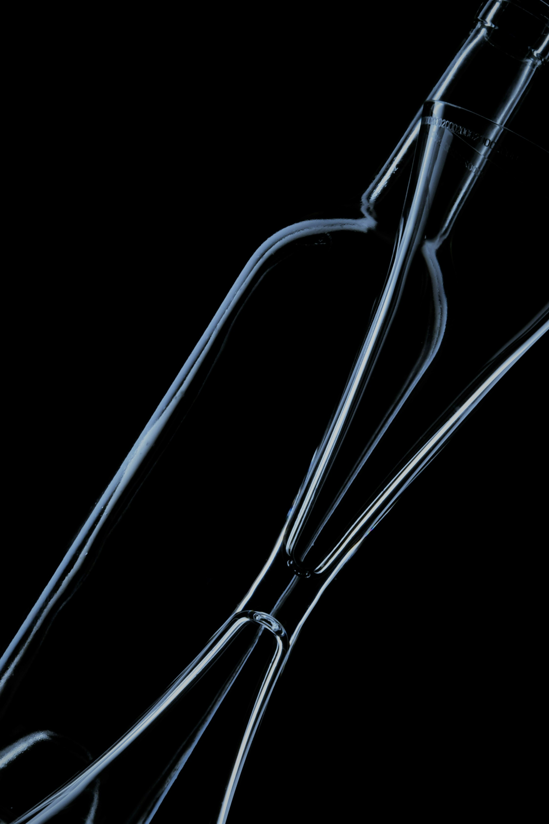 Photo by smallcamerabigpictures