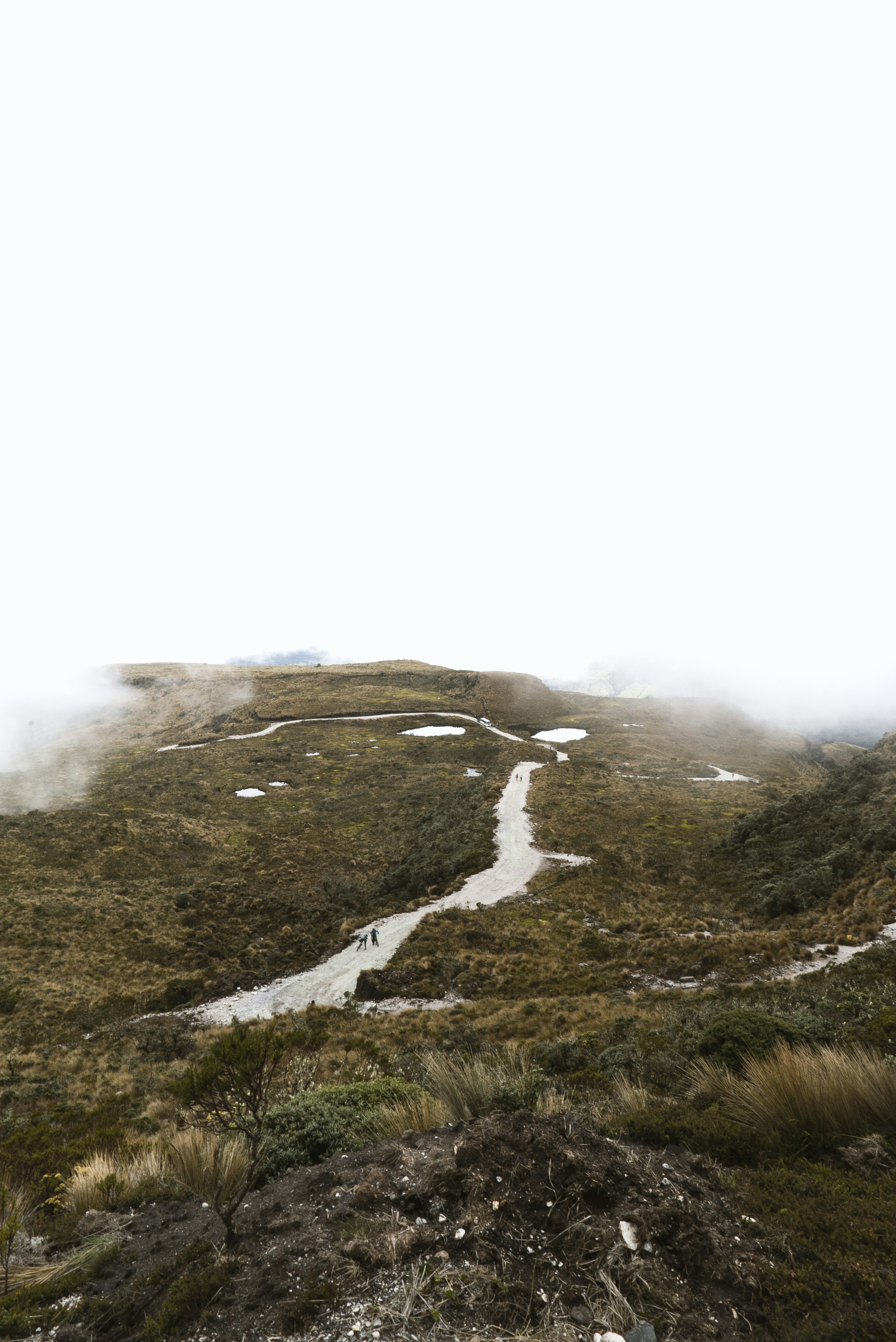 Photo by davidemrich