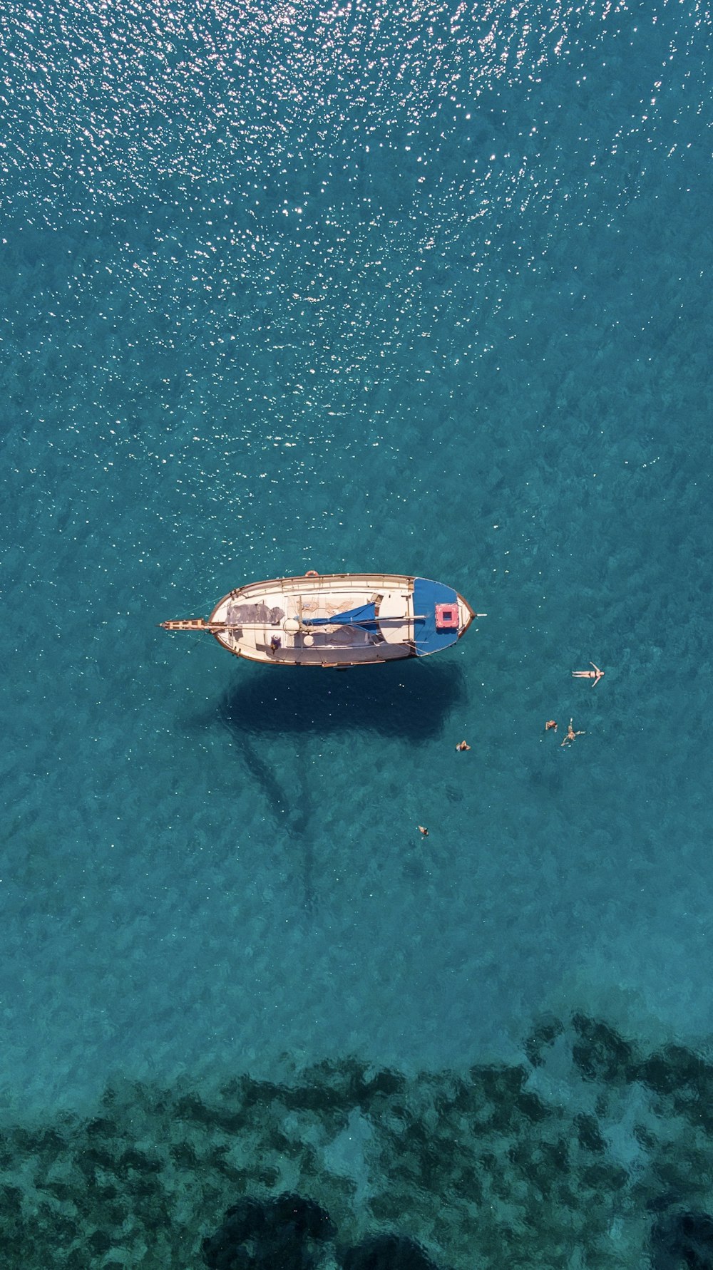 水域の青と白のヨット