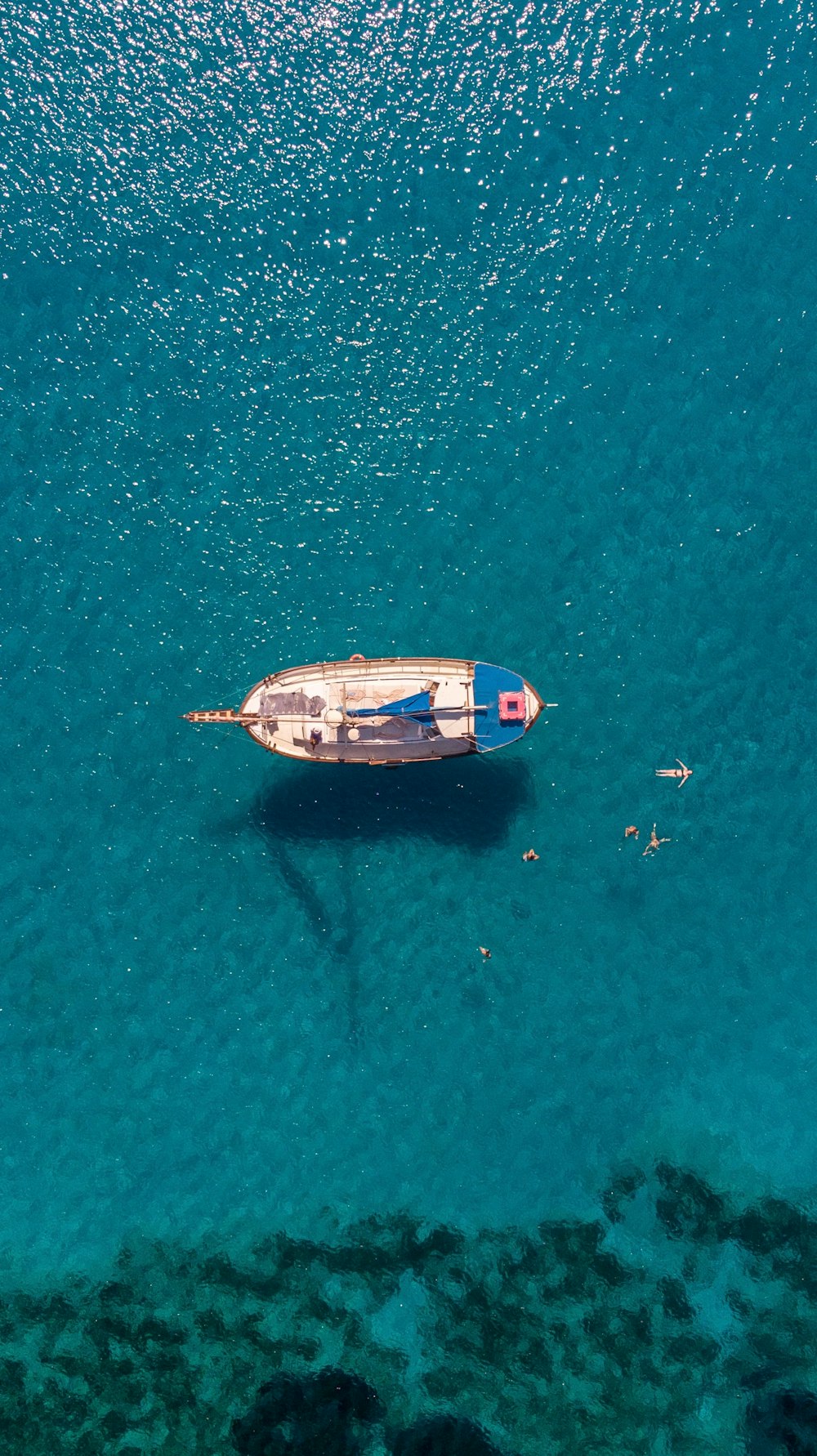 blue and white sailboat on body of water