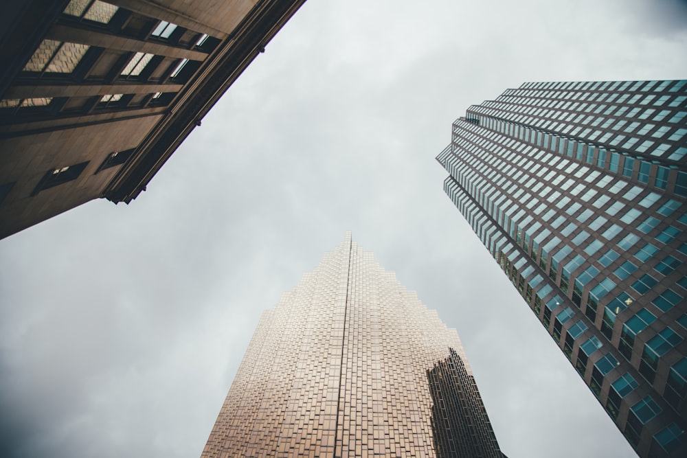 low angle photography of three high-rise buildings