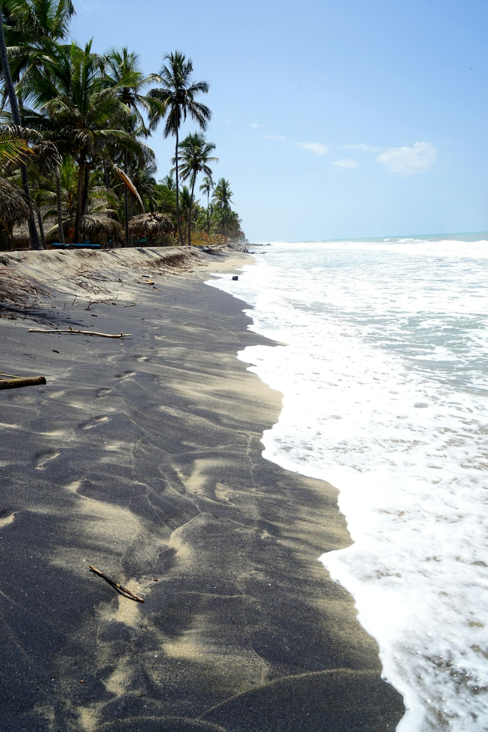 shoreline during daytime