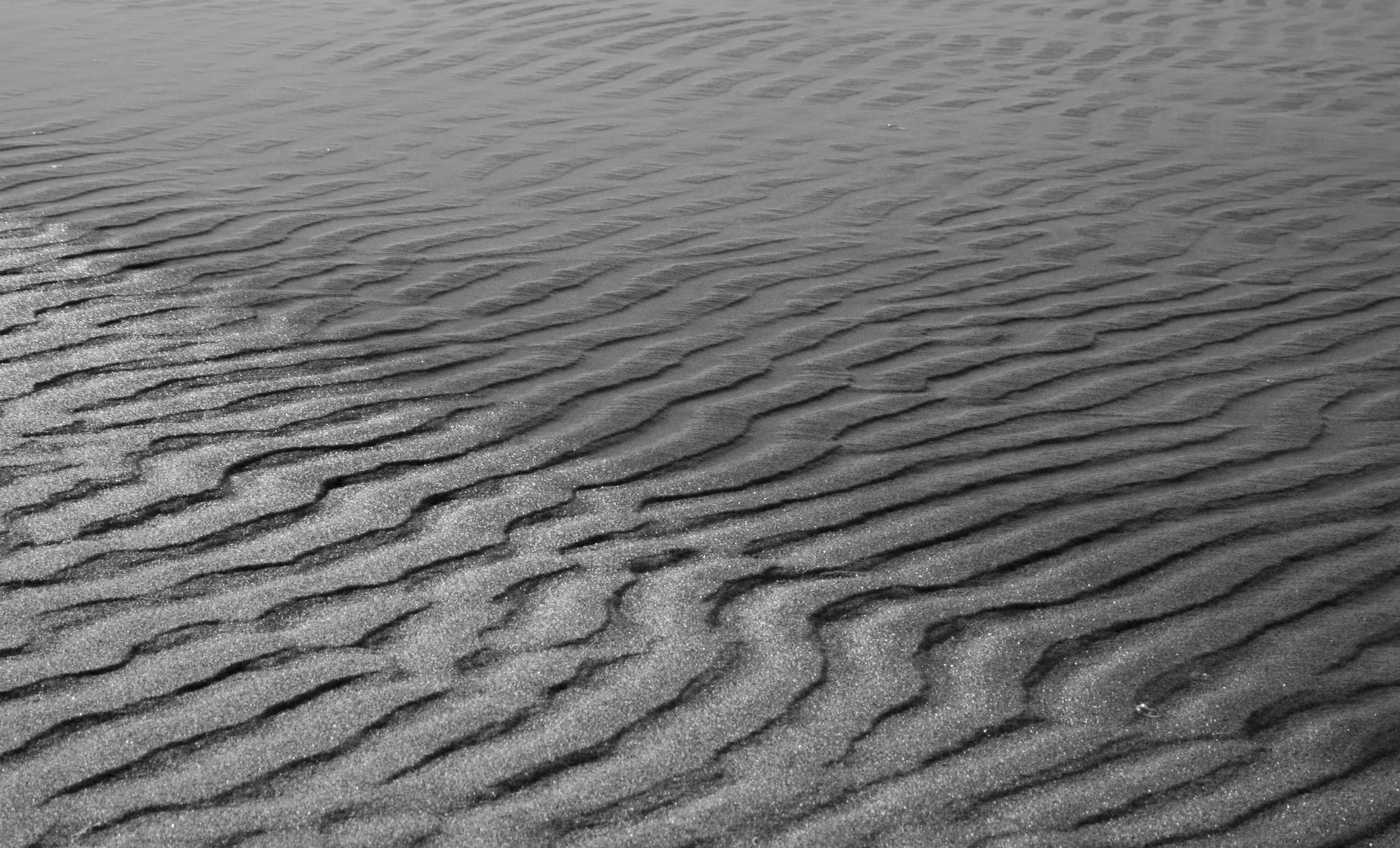 Photo by noemi_lusetti