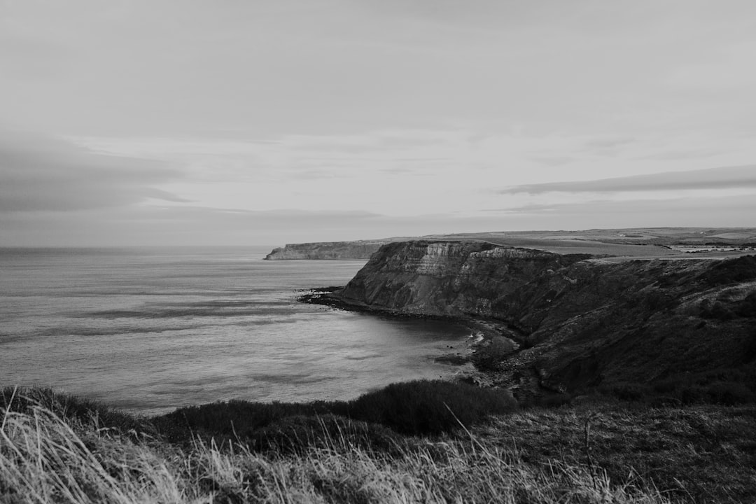 grayscale photography of cliff