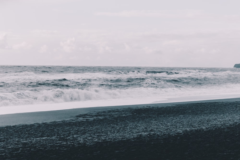 grayscale photography of seashore