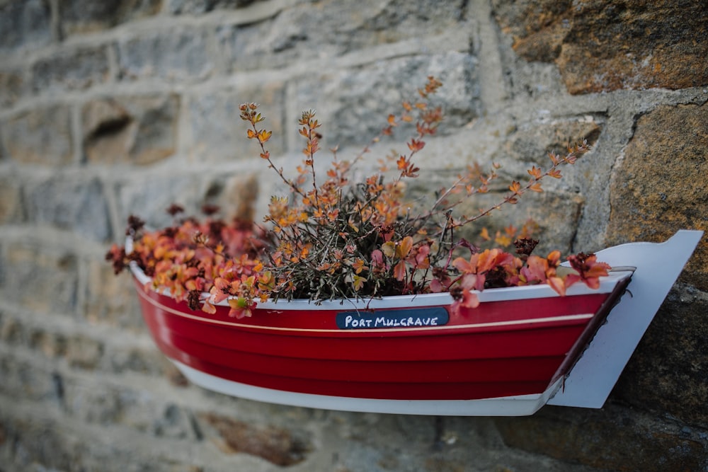 red and white canoe boat-designed hanging flower pot on concrete wall