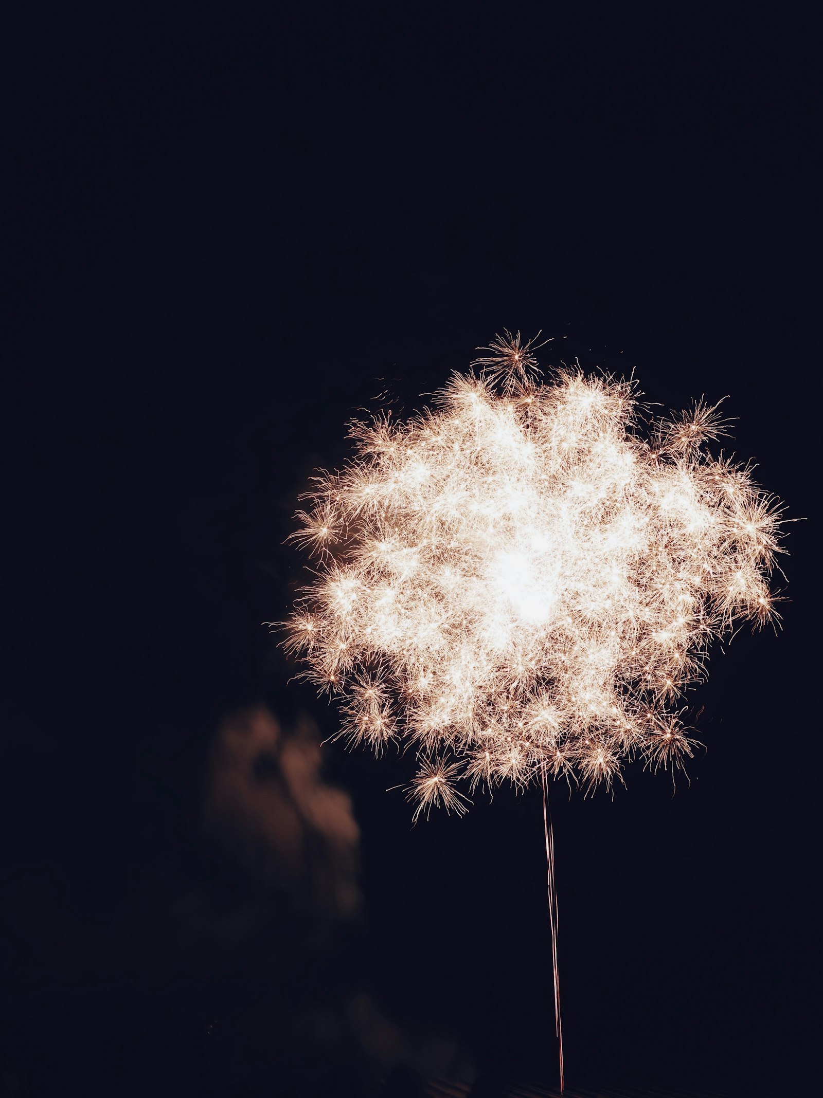 Sony 28-100mm F1.8-4.9 sample photo. White dandelion photography