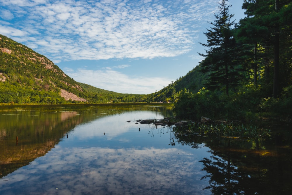 Eau calme pendant la journée