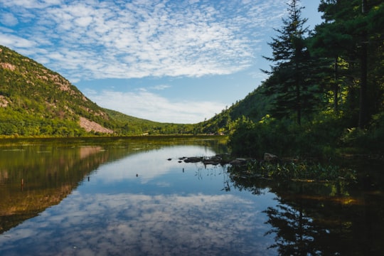 calm water during daytime in Acadia National Park United States