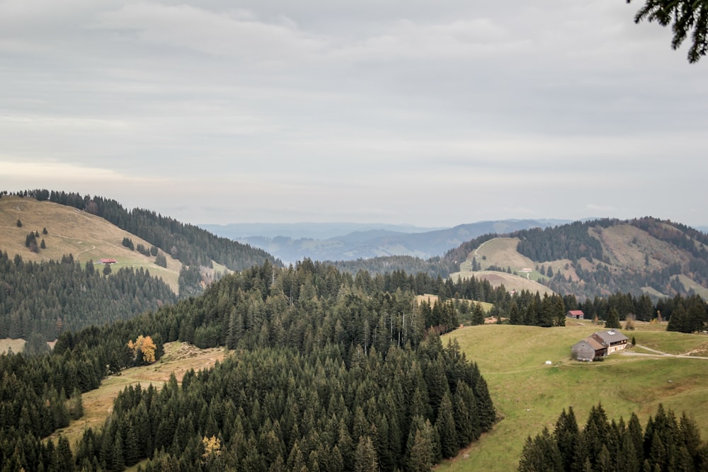 Grüne Landschaft