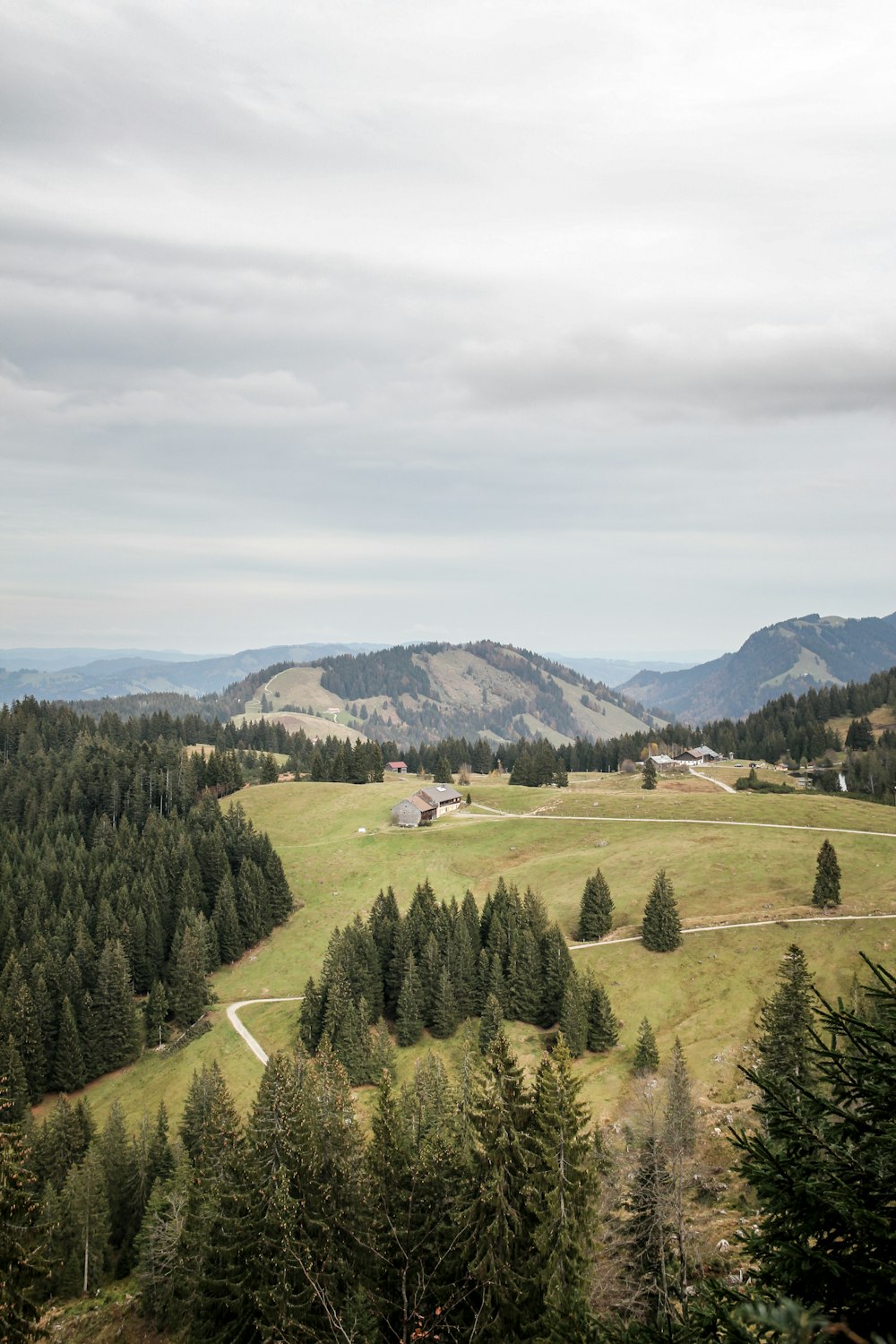 aerial photography of grassland