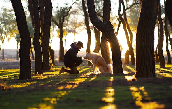 man in front of brown dog in woods