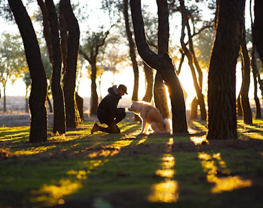 A tender moment of connection between a dog and its owner in a sunlit forest clearing.