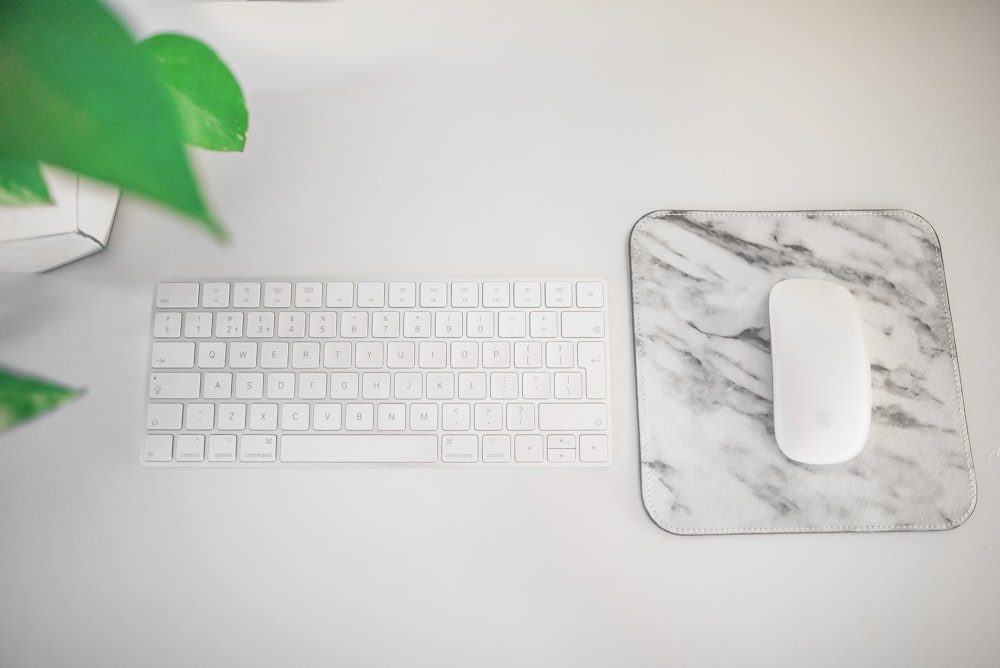 Magic Keyboard beside Magic Mouse