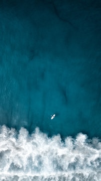 an aerial view of a surfer riding a wave