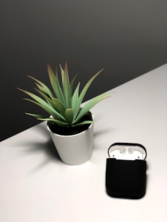 A small potted plant with pointed green leaves sits on a white surface next to a pair of wireless earbuds in a black charging case.