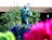 A statue of a robed figure holding a cross and a skull is surrounded by vibrant flowers. There are lush green plants and a backdrop of terracotta roof tiles.