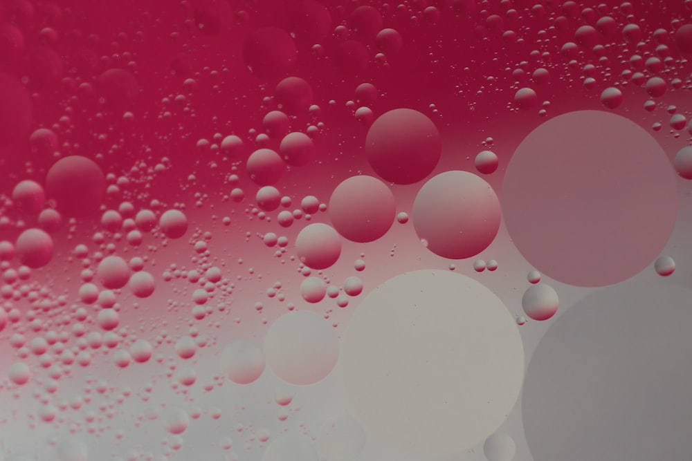 a close up of bubbles on a pink and white background