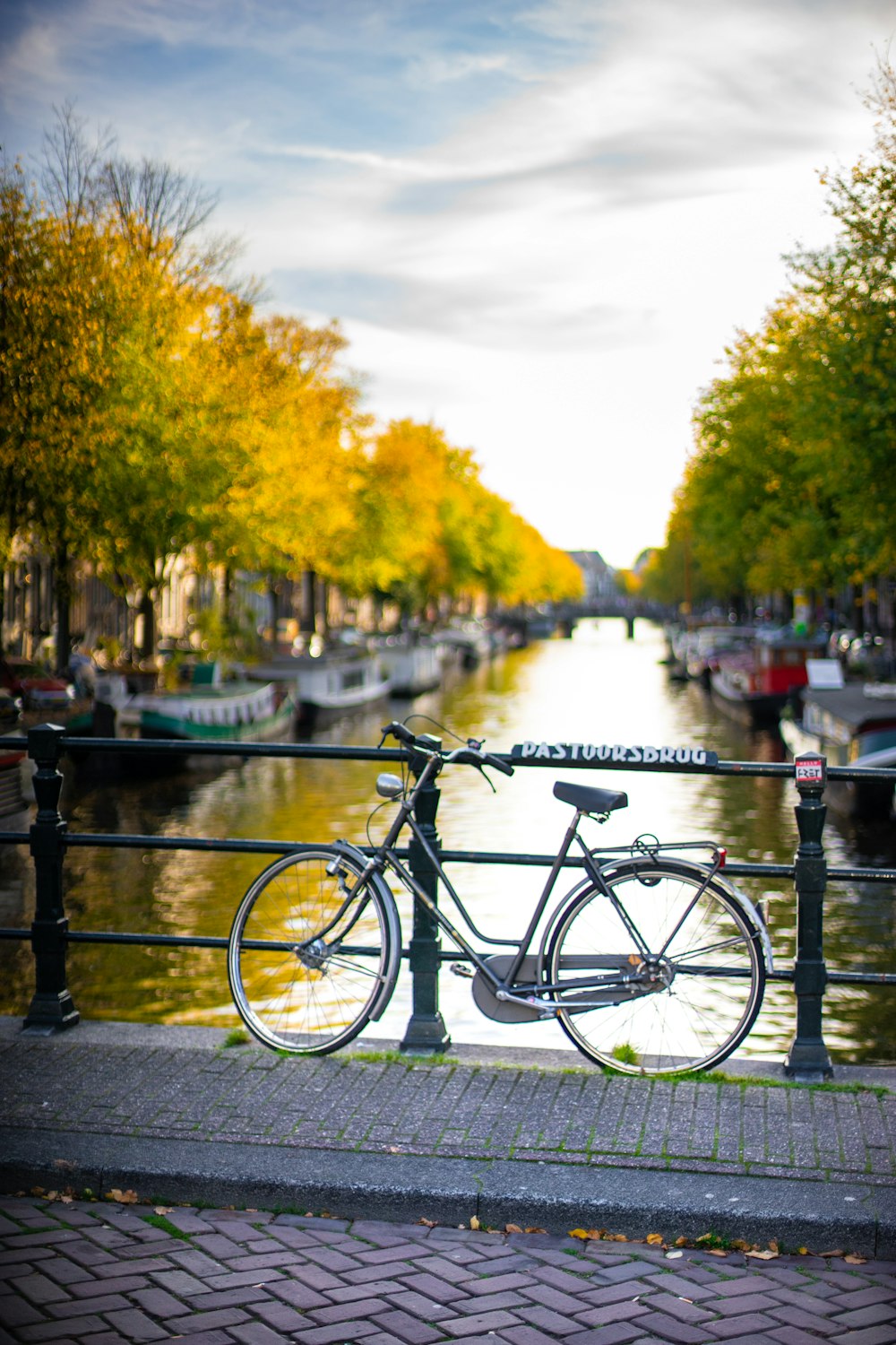 bicycle leaning on railing near river