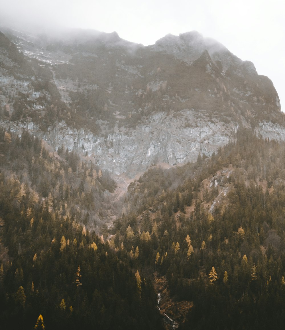 Fotografía de paisaje de roca de montaña