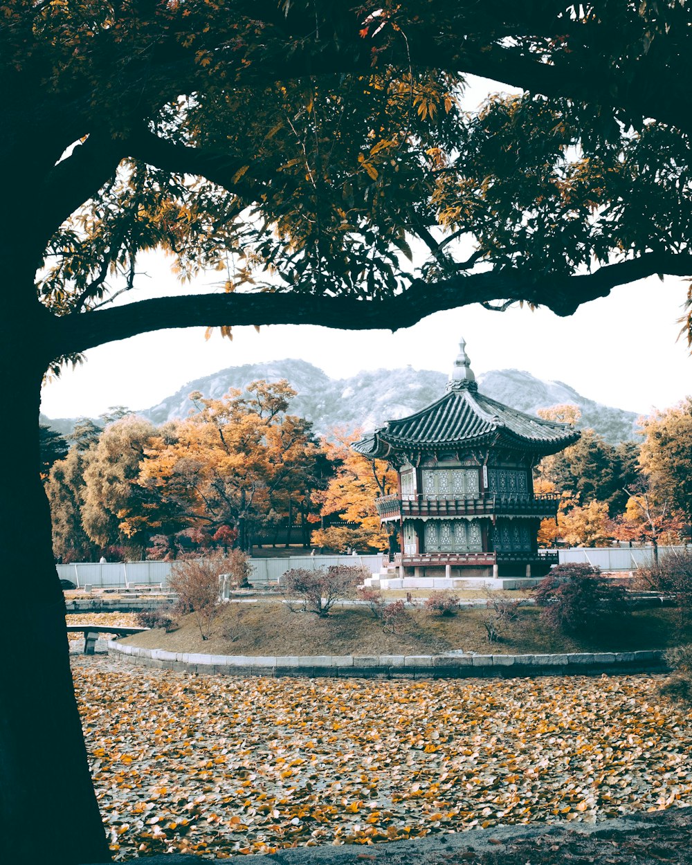 landscape photo of pagoda during daytime