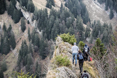 A group of people are hiking along a narrow, rocky path on a mountainside covered with dense evergreen trees. The landscape is rugged, with steep slopes and dramatic cliffs, creating a sense of adventure and wilderness.