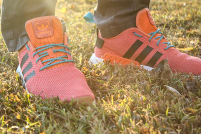 Comfortable running shoes placed on a park trail with morning sunlight
