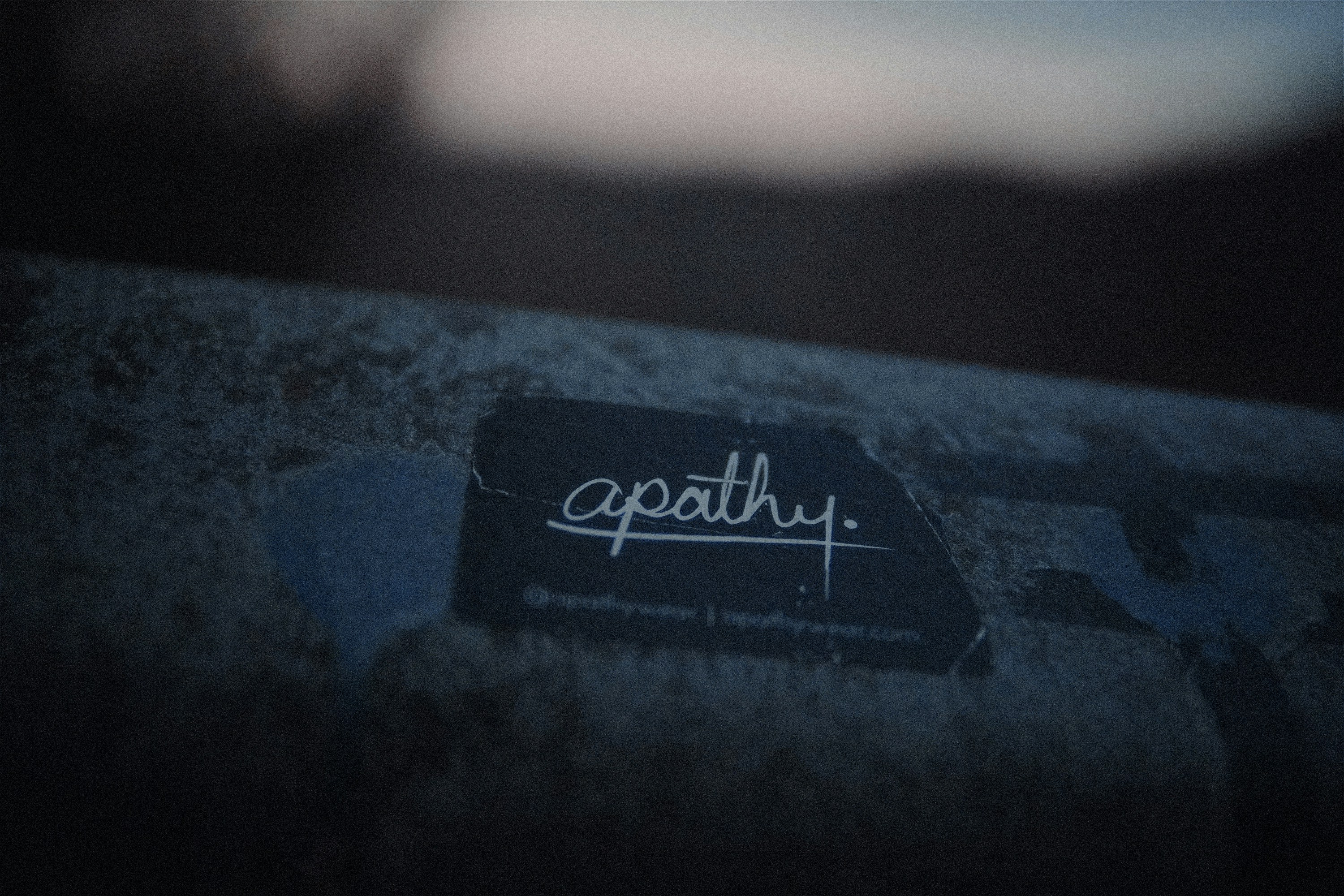 Repairify Appoints New VP of General Automotive Repair Markets — Photo by Shawn ‎ on Unsplash