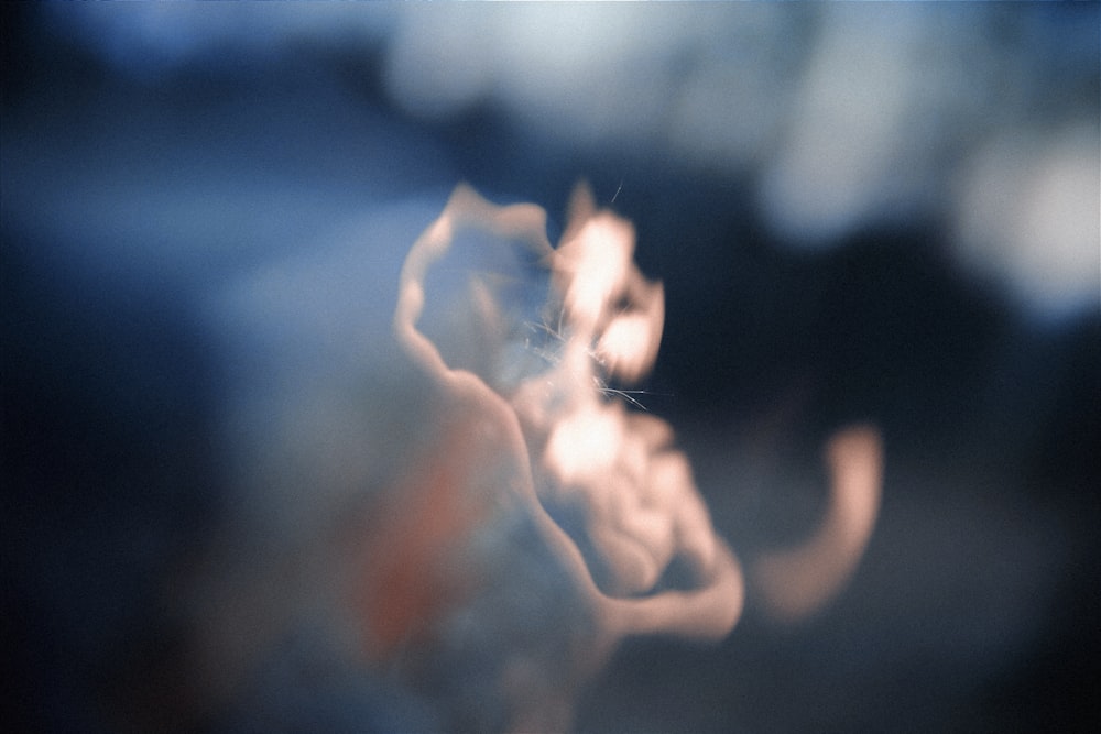 a blurry photo of a woman's torso