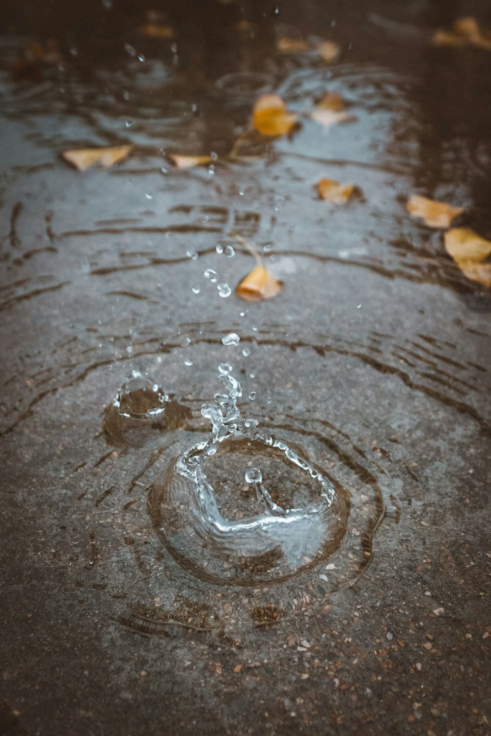 water ripple in closeup photography