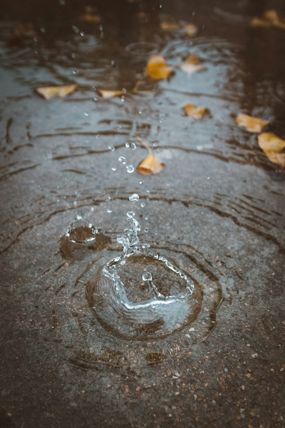 Rain Puddle Pictures | Download Free Images on Unsplash