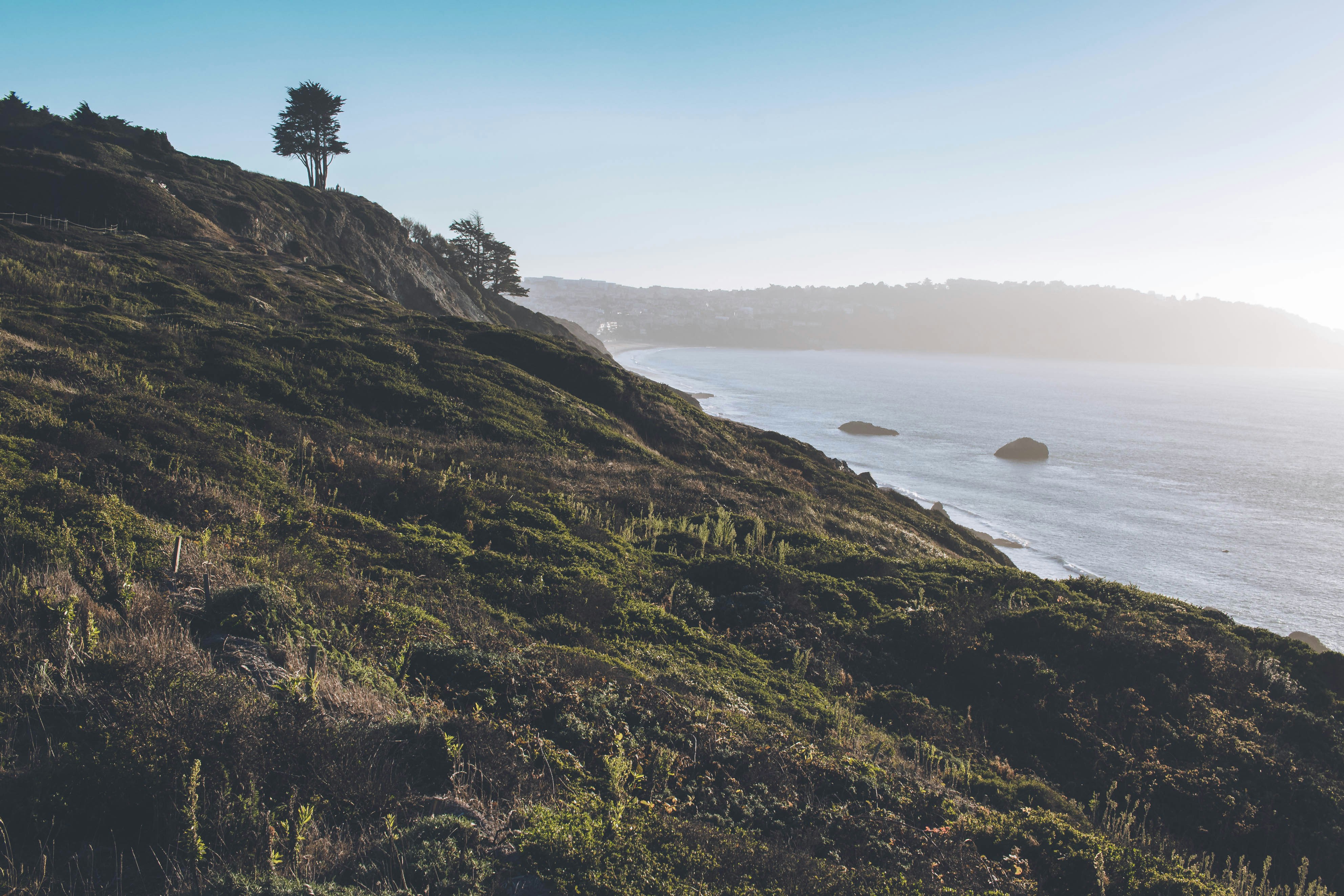 Photo by nadineshaabana