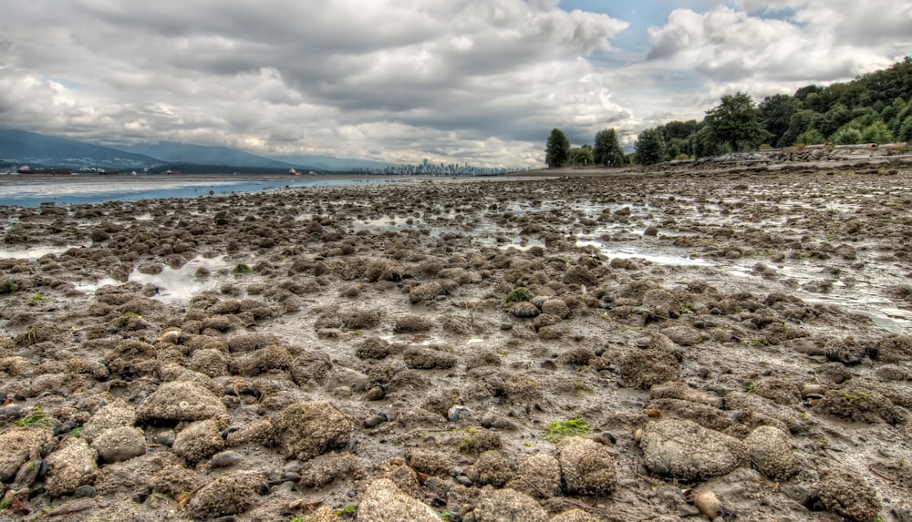 rocks on ground near body of water