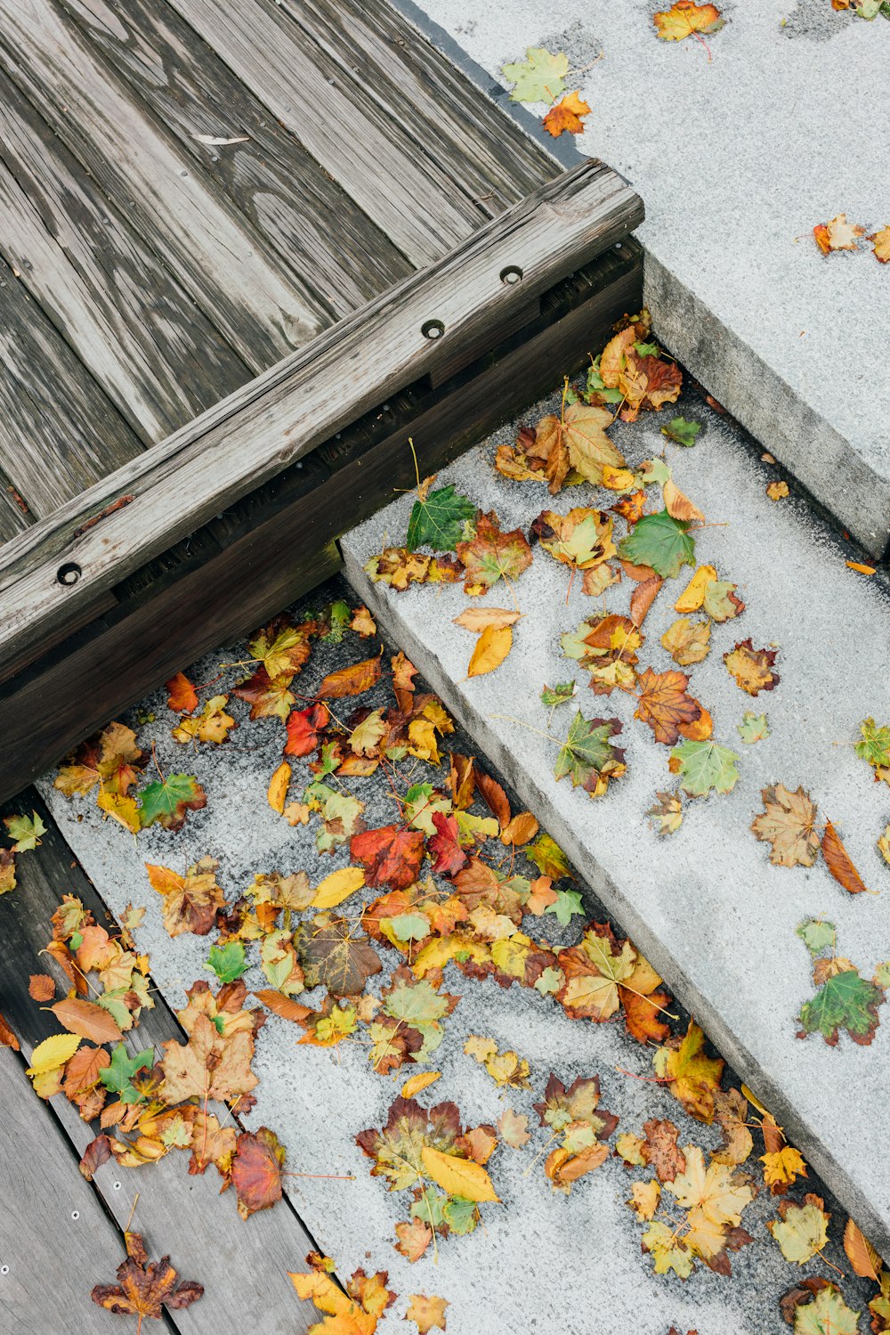 brown leaf on concrete stairs