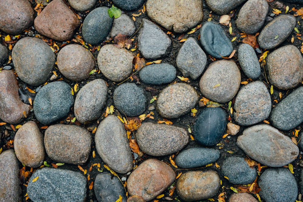black stones on ground
