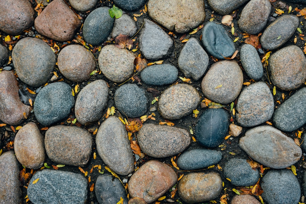 Piedras negras en el suelo