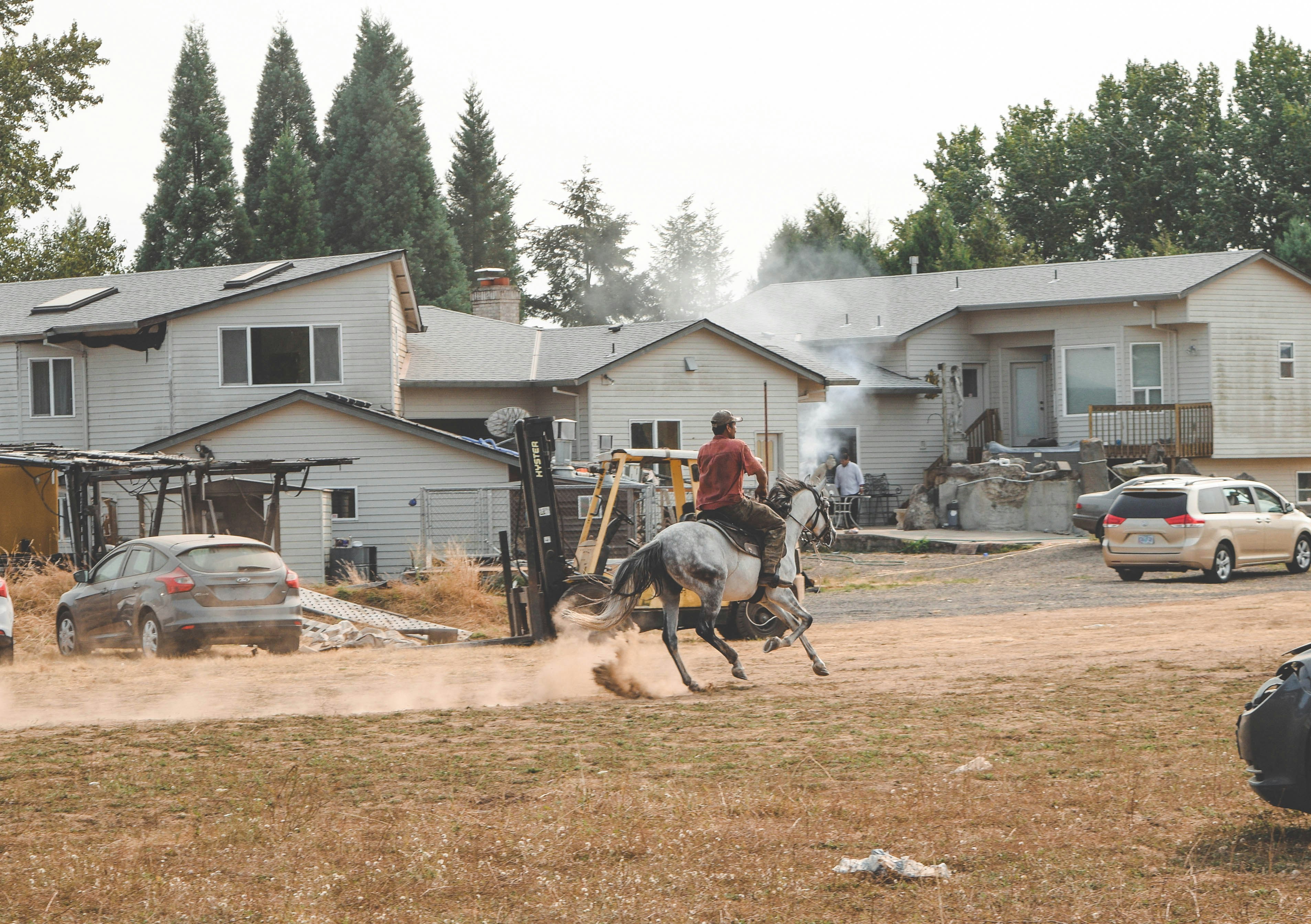 Galloping horse